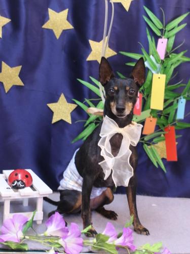 20230729マックスくん